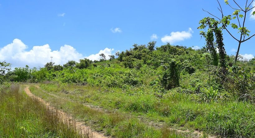 1.33 Acre Residential Property in Belmopan - Lomas De Las Flores