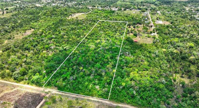 15-Acre Parcel, just 0.3 Mile from George Price Highway, Camalote, Cayo District