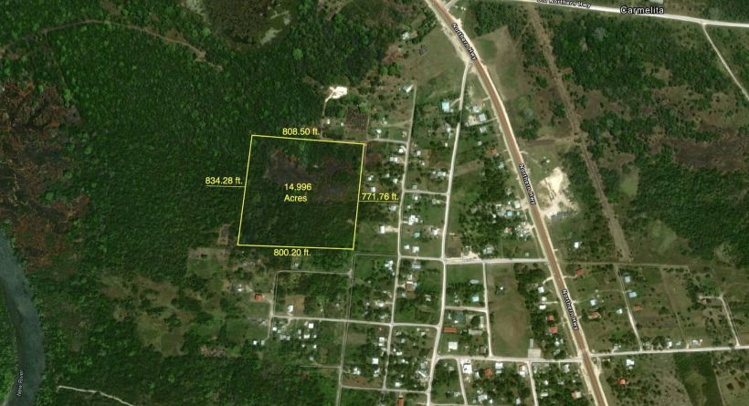 15 Acres in Carmelita Minutes from the Phillip Goldson Highway and the New River