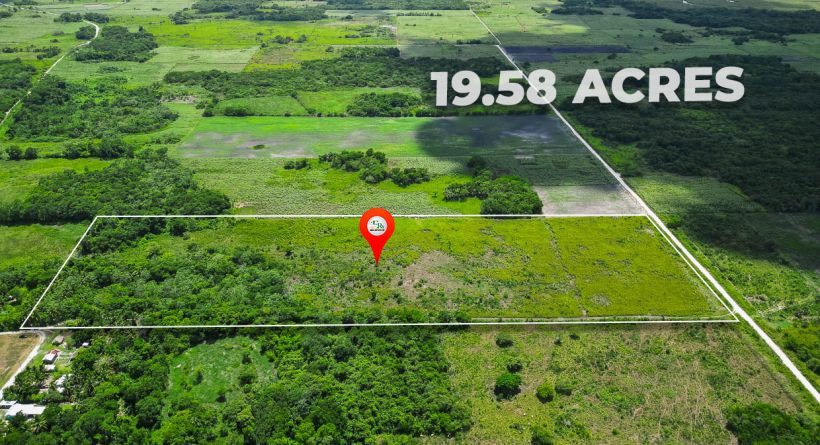 19.58 Acres Investment Property San Luis Village Orange Walk District in Northern Belize