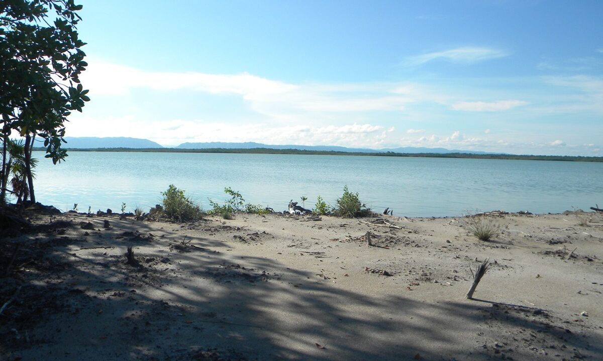 2.3 Acre lagoon Front property for Sale in Placencia