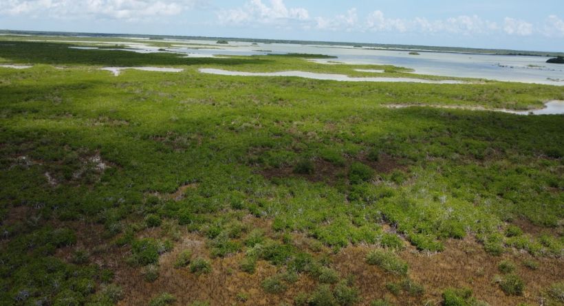 2 Acre Seafront Property on the Corozal Bay, South of Rocky Point