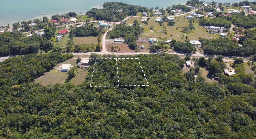 2 Large Parcels along Hummingbird Lane, Consejo Road, Corozal District, Belize