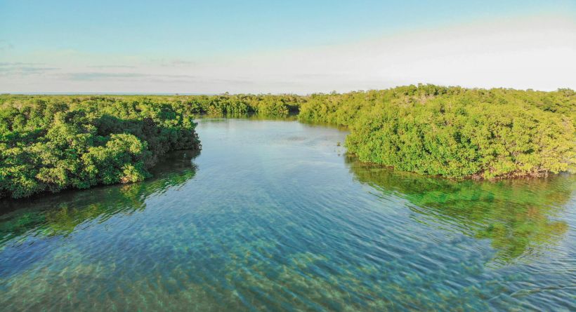 REDUCED! 2-Miles Island Waterfront - 30 Acres - Northern Hick's Caye Channel