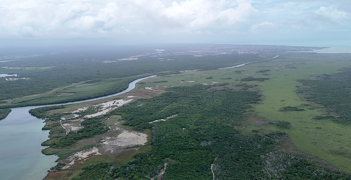 20 Acre Agricultural Opportunity near Chetumal