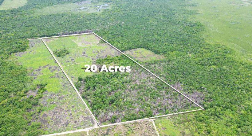 20 Acres Agricultural Property in Consejo Corozal District in Northern Belize