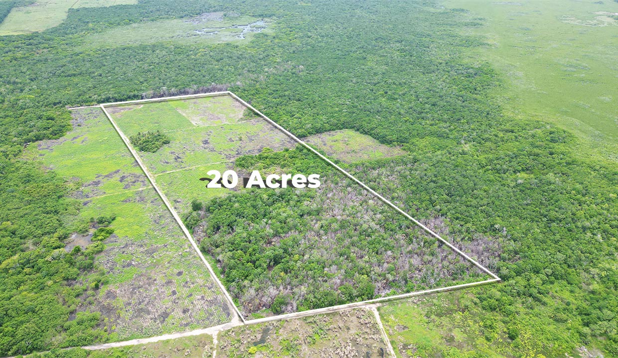 20 Acres Agricultural Property in Consejo Corozal District in Northern Belize