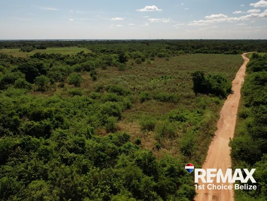 L3605 - 20.75 Acres of Prime Fertile Land Near Corozal Town