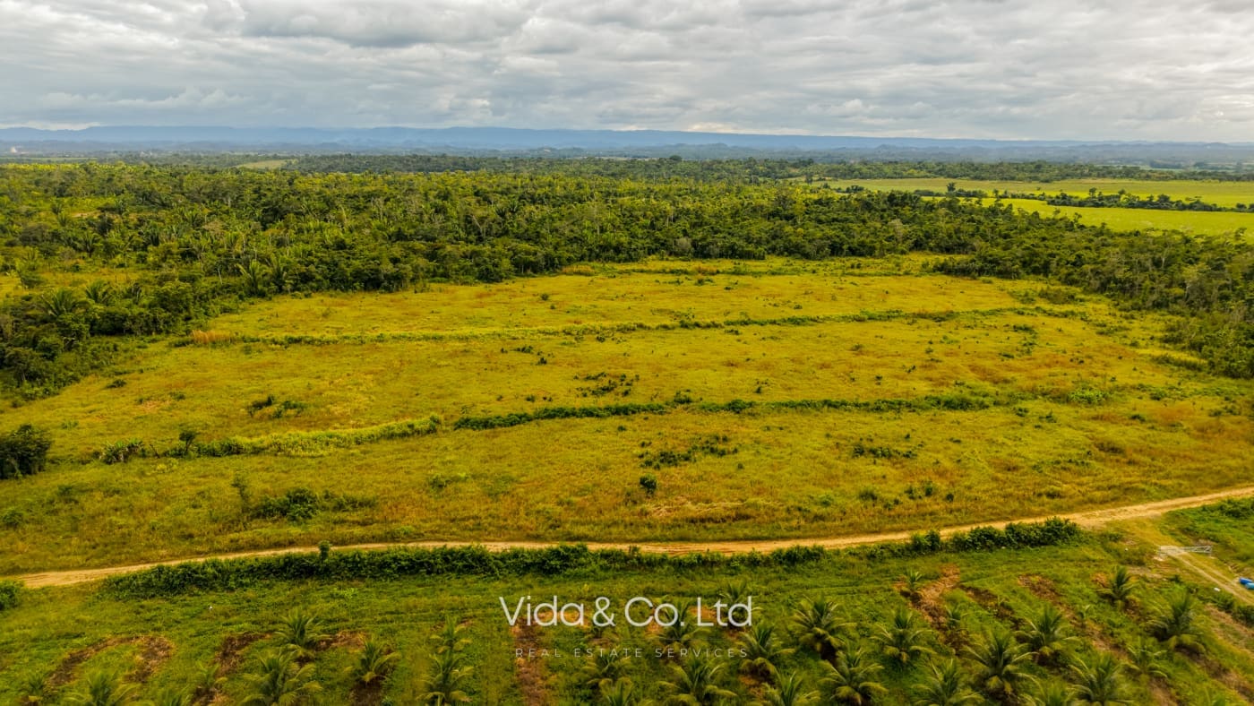 25.16 Acre Agricultural Property Near Valley of Peace, Cayo District