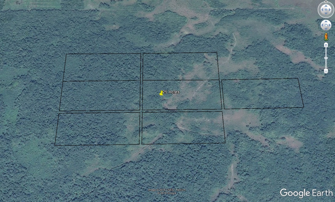 25 Acres land for sale in Cotton Tree Cayo Belize