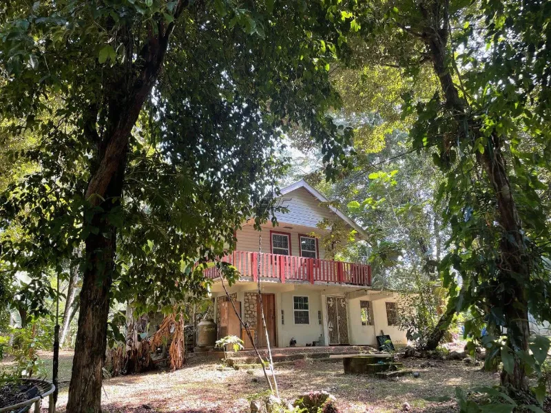 25 acres of Beautiful Belize jungle with 2-bedroom house in Toledo District, Belize