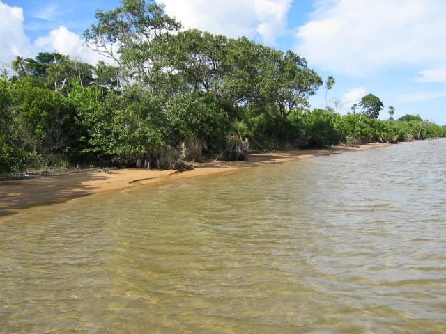 #2511 – 100 ACRES OF BEACHFRONT AND LAGOON FRONT LAND – STANN CREEK DISTRICT