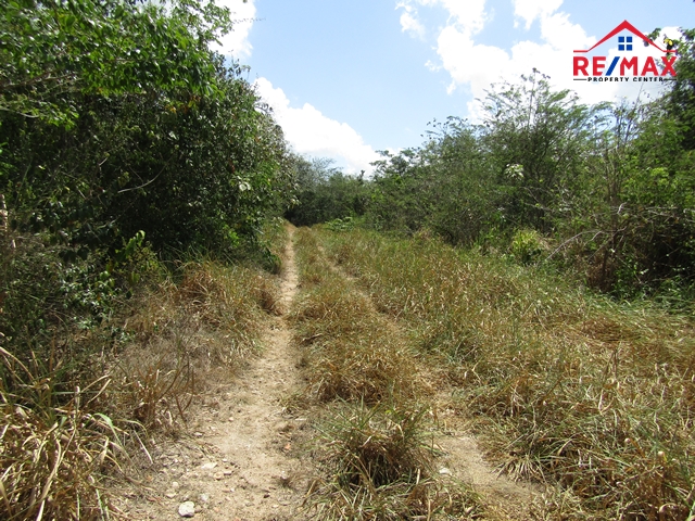 #2516 – 85 ACRES OF AGRICULTURAL LAND LOCATED CLOSE TO THE MENNONITE COMMUNITY AT SPANISH LOOKOUT.