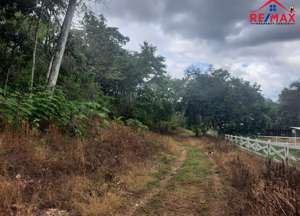 #2532 – 11 ACRES OF FOREST IN WESTERN BELIZE