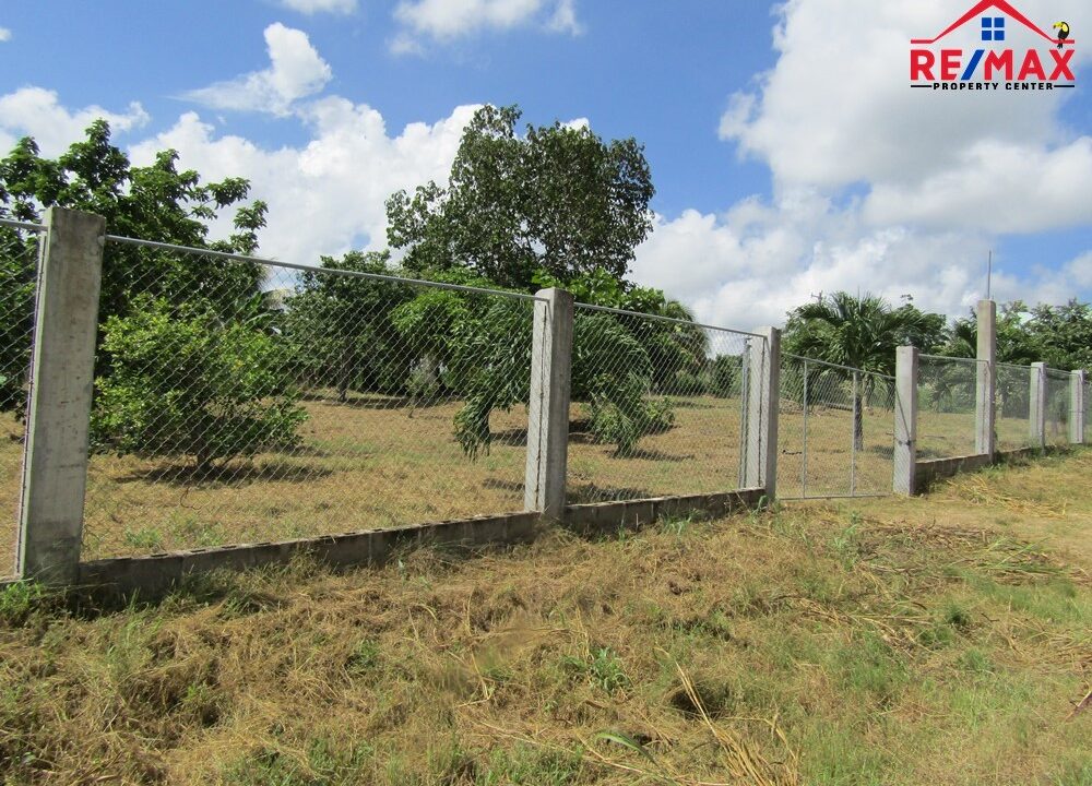 #2537 – 2 ADJACENT RESIDENTIAL OR COMMERCIAL LOTS IN SAN IGNACIO.