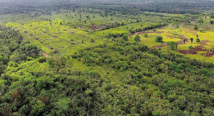 257-Acre Waterfront Equipped Ranch for Sale in the Belize River Valley, Belize