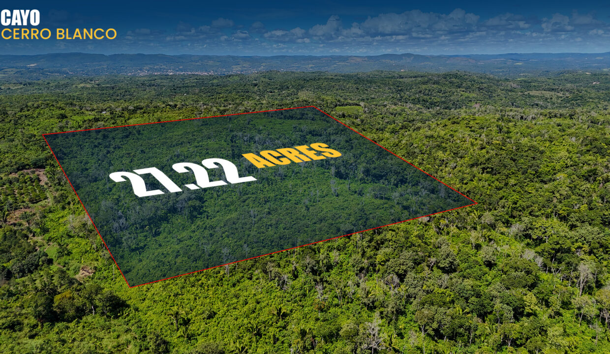 27 Acres of Untouched Farmland in Cerro Blanco Cayo