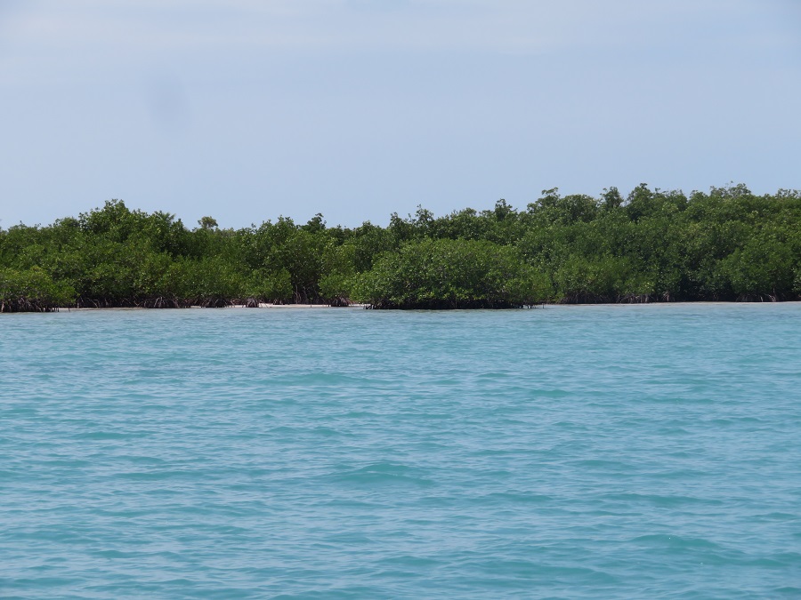 28 Acre Island