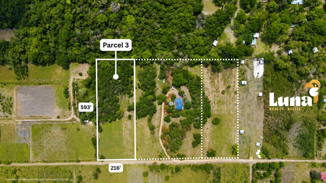 3 Acres in Bullet Tree Falls - Lot #3: Elevated Homesite, Road Access & Peaceful Setting
