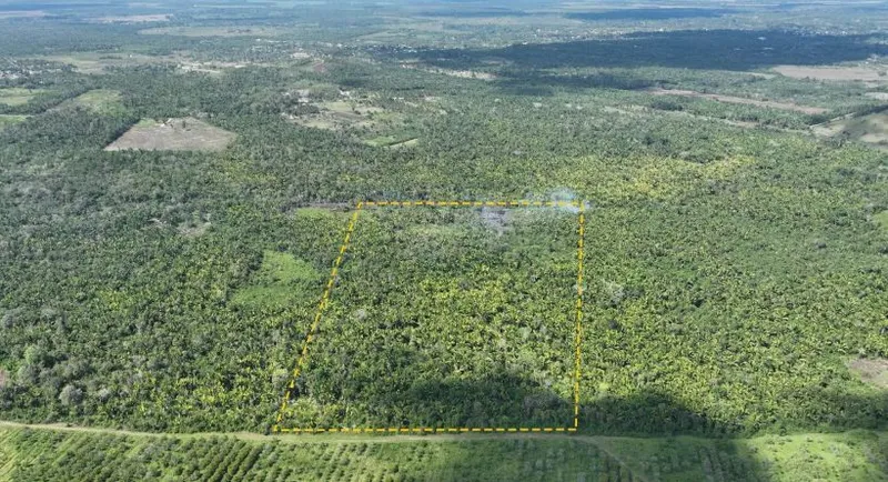 30.02 Acres For Sale:Commercial/Residential Property-Society Hall, CAYO DISTRICT