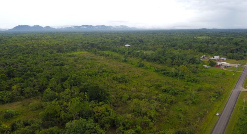 30.04 Acres next to the Bowen Depot in the Toledo District
