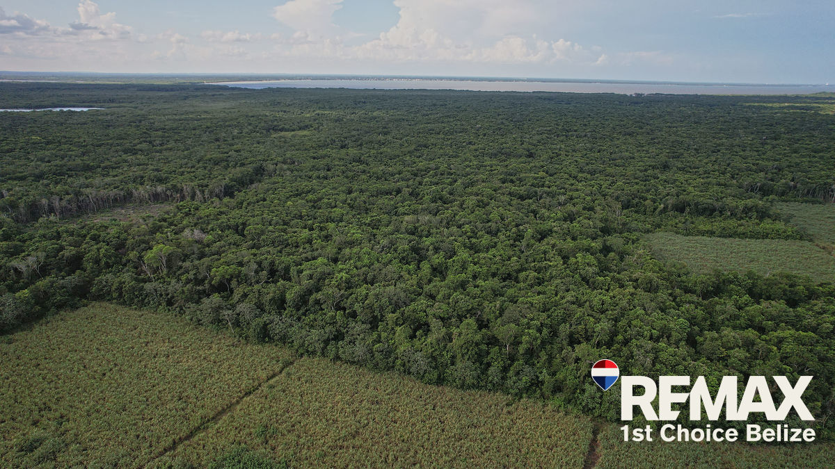 L3612 - 32.98 acres near Copper Banks