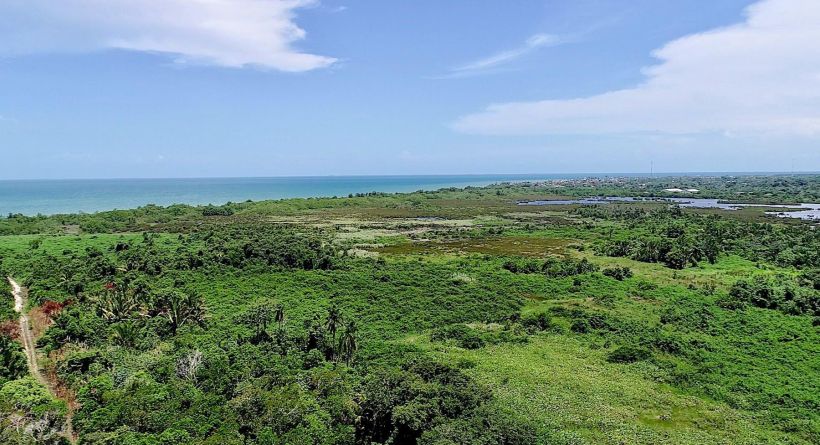 320 Acres with Sea Frontage North of Dangriga Town