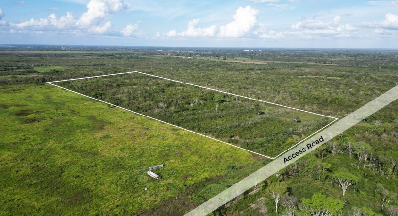 33.4 Acres Farmland near Tower Hill Village Orange Walk District in Northern Belize