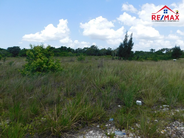 #3501 – 4.5 ACRES OF LAND ADJACENT TO THE BELIZE INTERNATIONAL AIRPORT