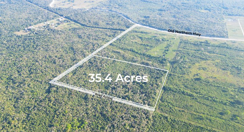 35.4 Acres Forested Property off the Old Northern Highway Orange Walk District in Northern Belize