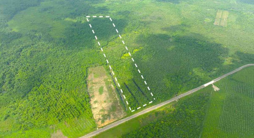 35.54 Acres of Prime Highway Frontage Land for Sale on the Coastal Highway