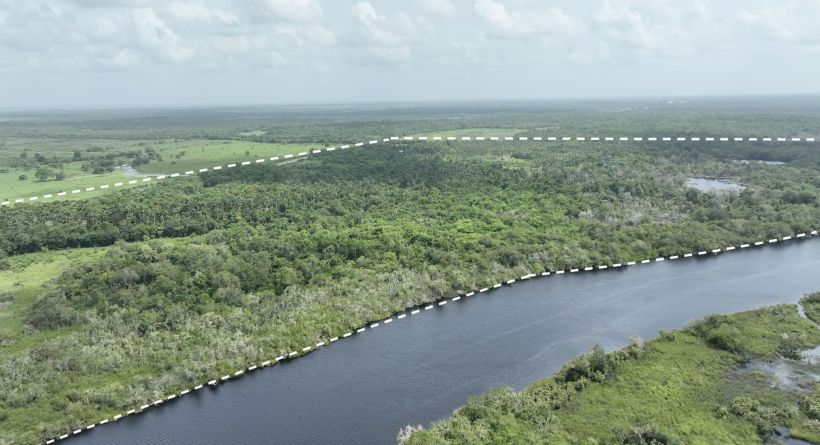 356-Acre Riverfront Land along Guinea Grass Rd. and New River in Orange Walk