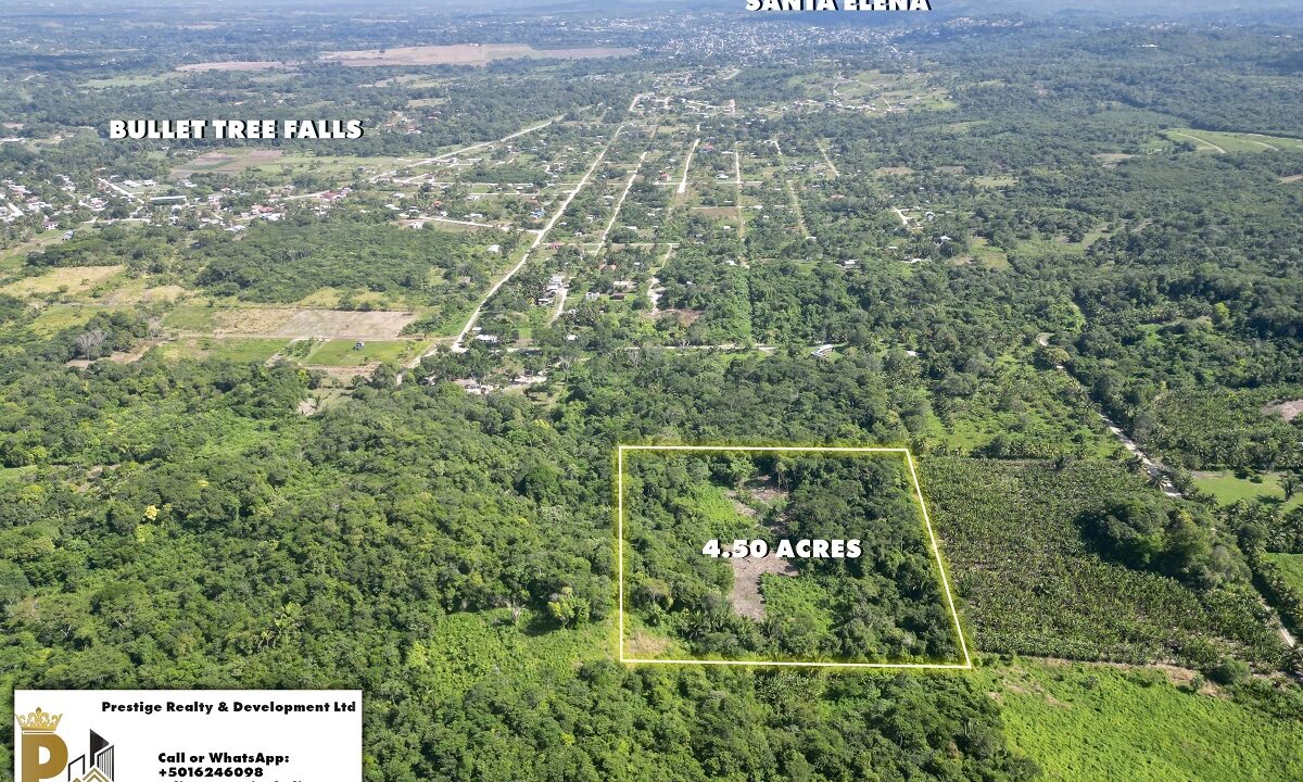 4 Acres of land for Sale in Bullet Tree San Ignacio