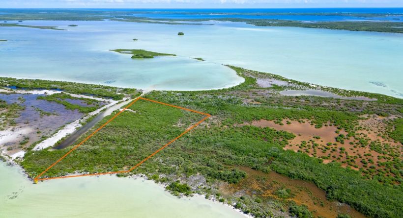 4 Waterfront Acres On Bracilete Caye!