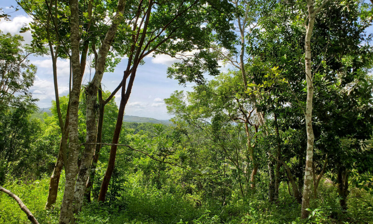# 4087 – Hilltop Property 2.98 Acres of Land – Succotz Village, Cayo District, Belize
