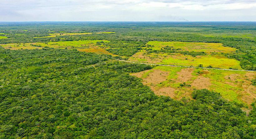 415 Acre Farmland along Corozal/Progresso Road in the Corozal District
