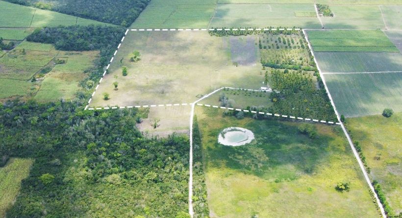 43.8 Acre Agricultural Property in Orange Walk District in Northern Belize