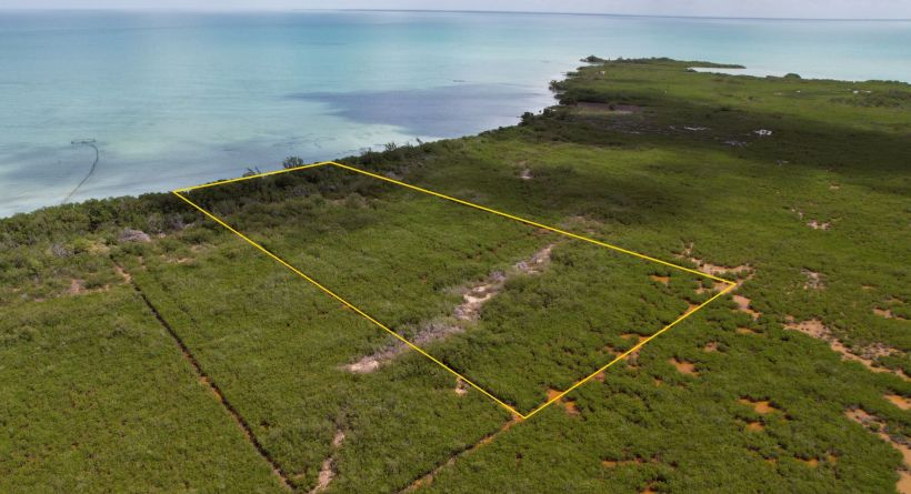 4.8 Acres Seafront Property near Sarteneja Village, Corozal District, Belize