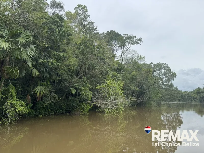 49 Acres of Untouched Jungle Paradise on the Moho River