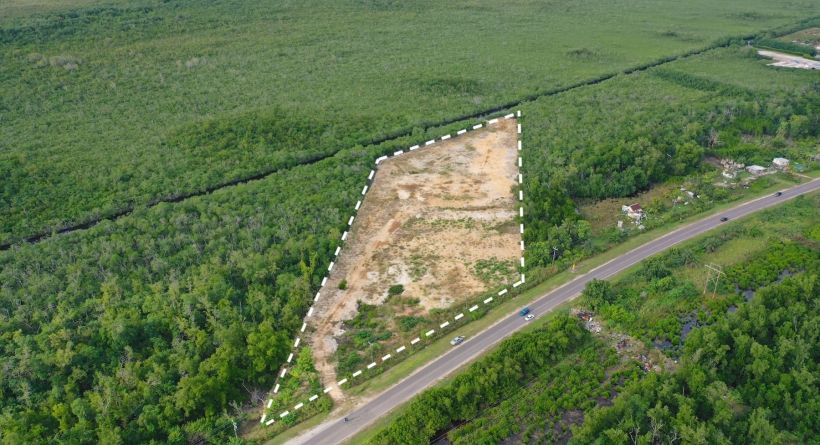 4.955 Acres from the George Price Highway to Burdon Canal, BELIZE