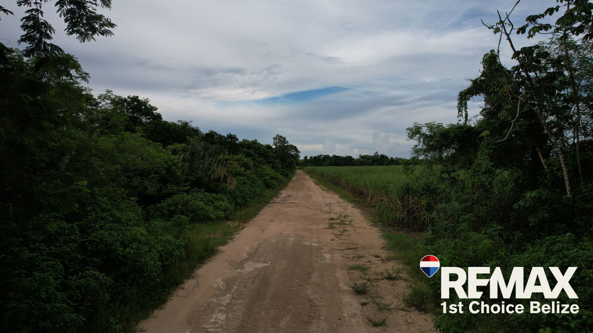 L3610 - 5.6 Acres Land In San Joaquin