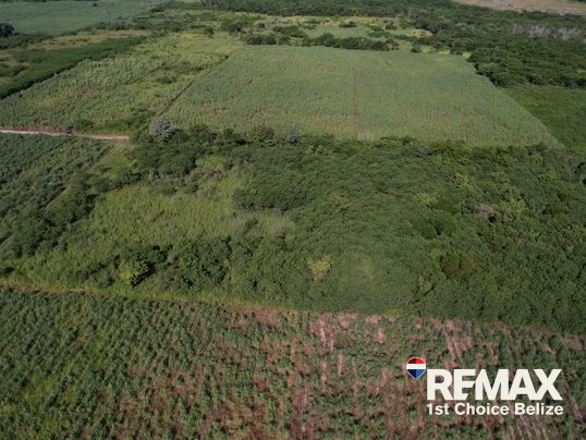 L3611 - 5 acres Hobby Farm Property near Xaibe, Belize