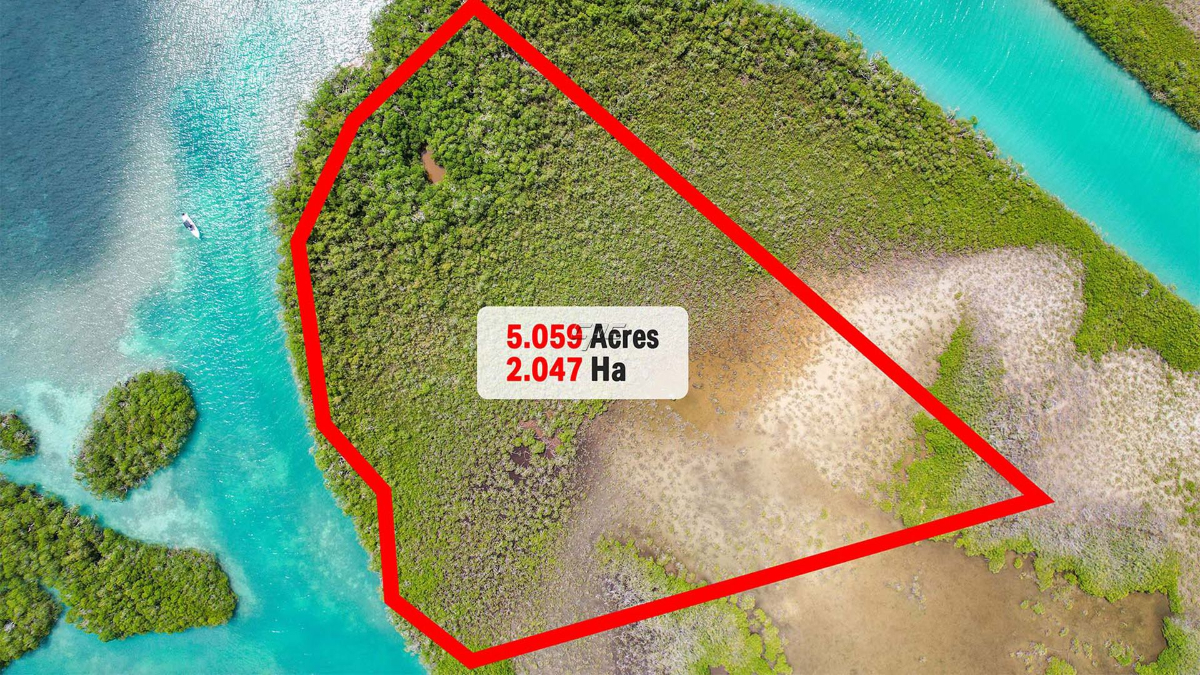 5 Acres of Exclusive Seafront Property on Drowned Caye