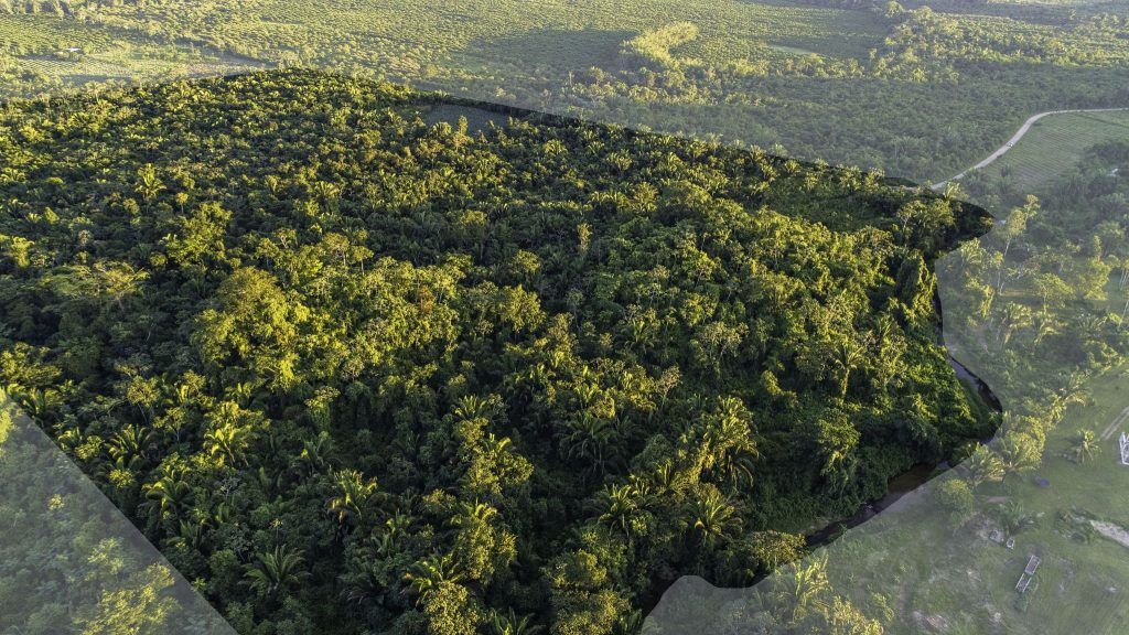 50-Acre Parcel Along Indian Creek