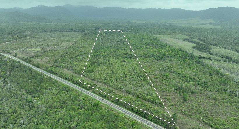 50 Acres along Southern Highway - Ready for Development - Just North of Hopkins