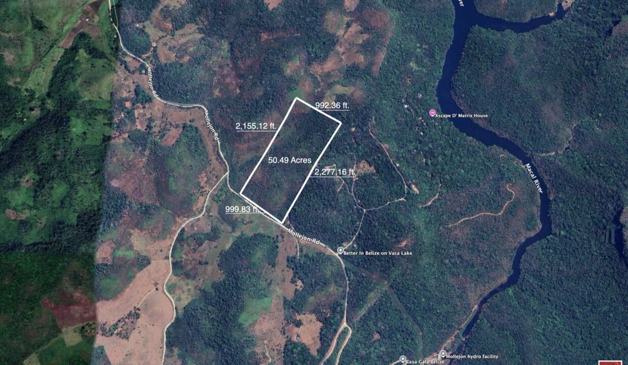 50 Acres of Pristine, Natural Land along the Mollejon Road in Western Belize