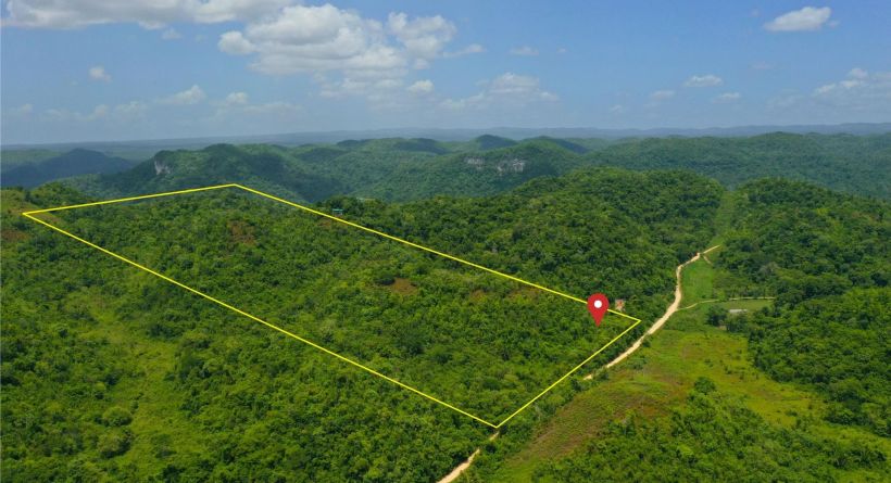 50 Acres of Pristine, Natural Land along the Mollejon Road in Western Belize