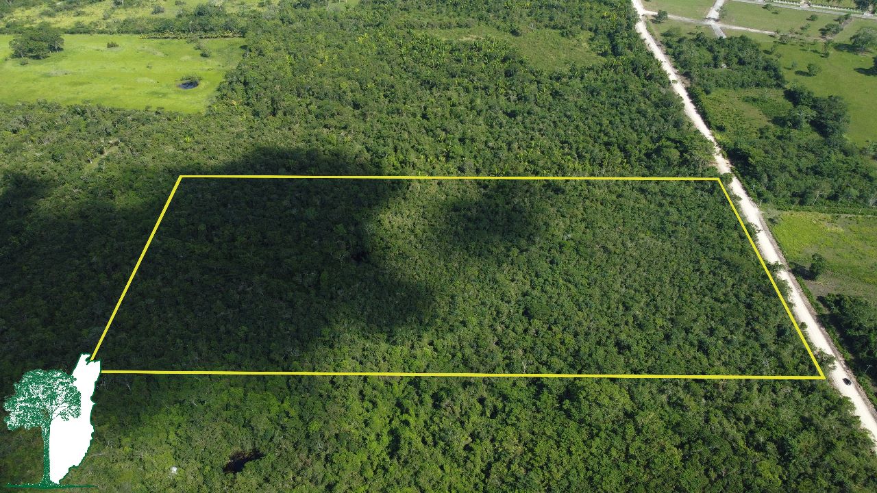20 Acres San Ignacio