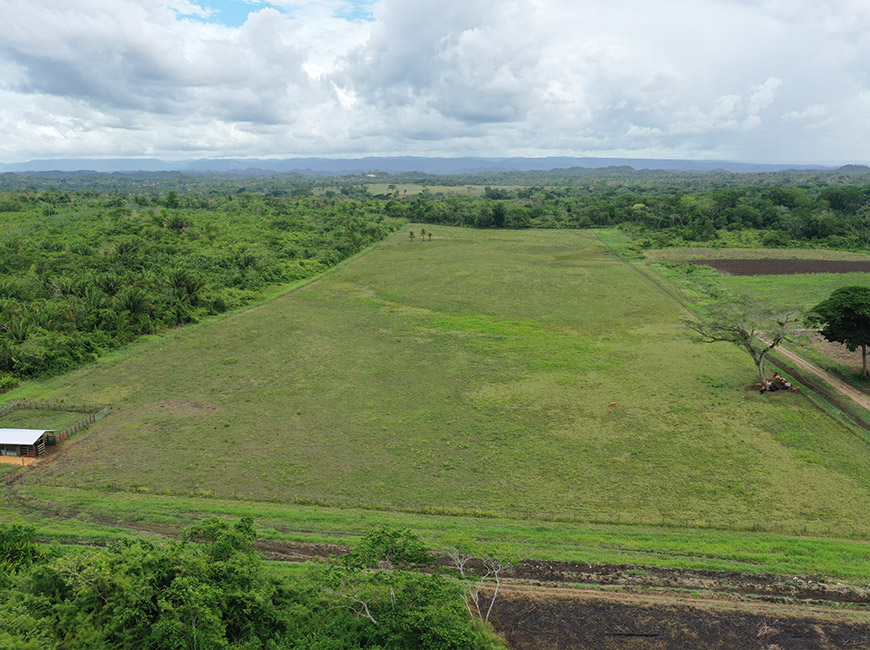 25 Acres of Cleared Land in Western Belize