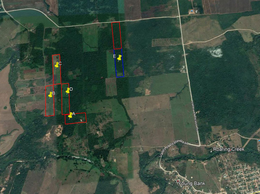 25 Acres going CHEAP! Western Belize